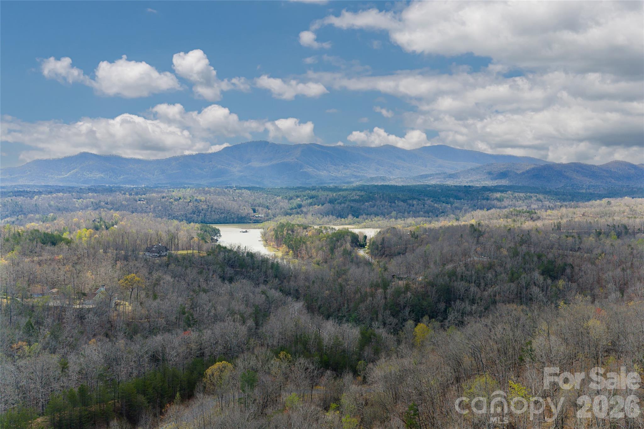 117 North Boundary Road Mill Spring, NC 28756 - Photo 3 of 14