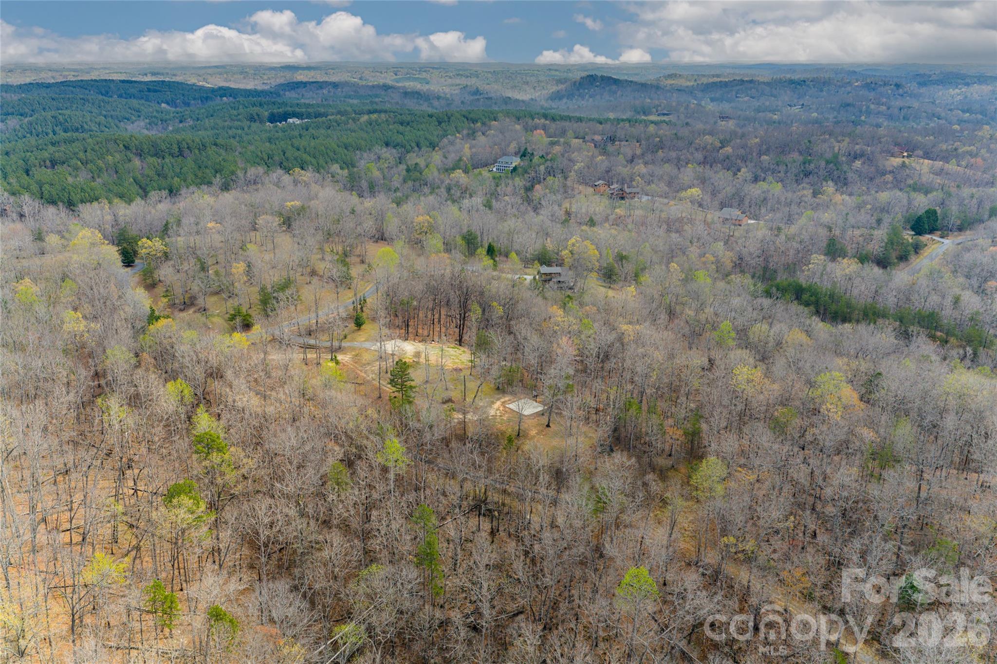 117 North Boundary Road Mill Spring, NC 28756 - Photo 6 of 14