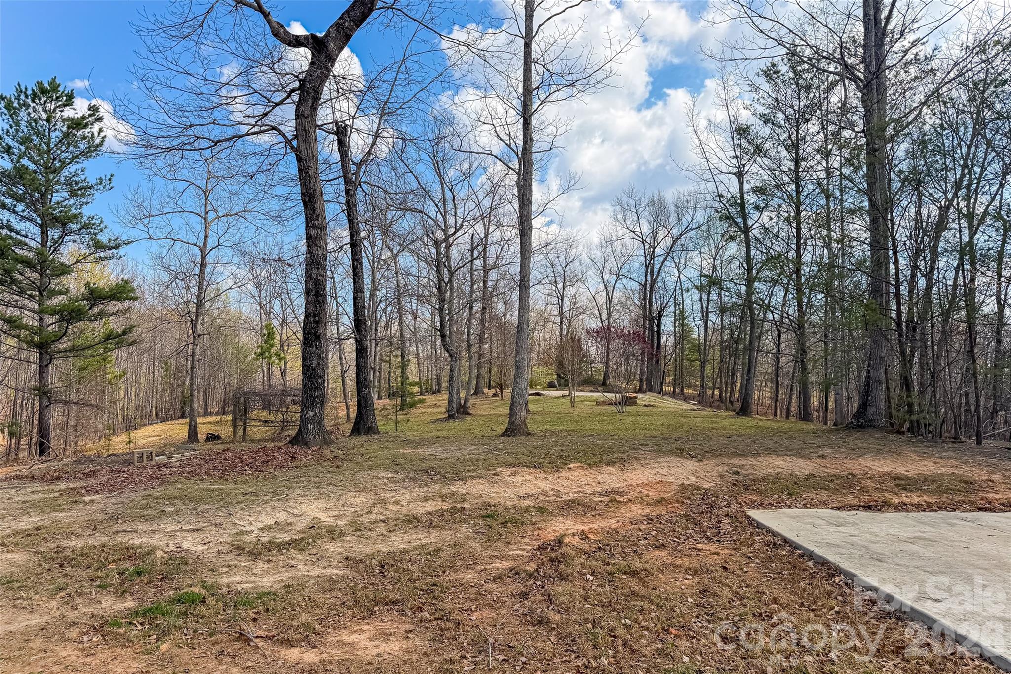 117 North Boundary Road Mill Spring, NC 28756 - Photo 7 of 14