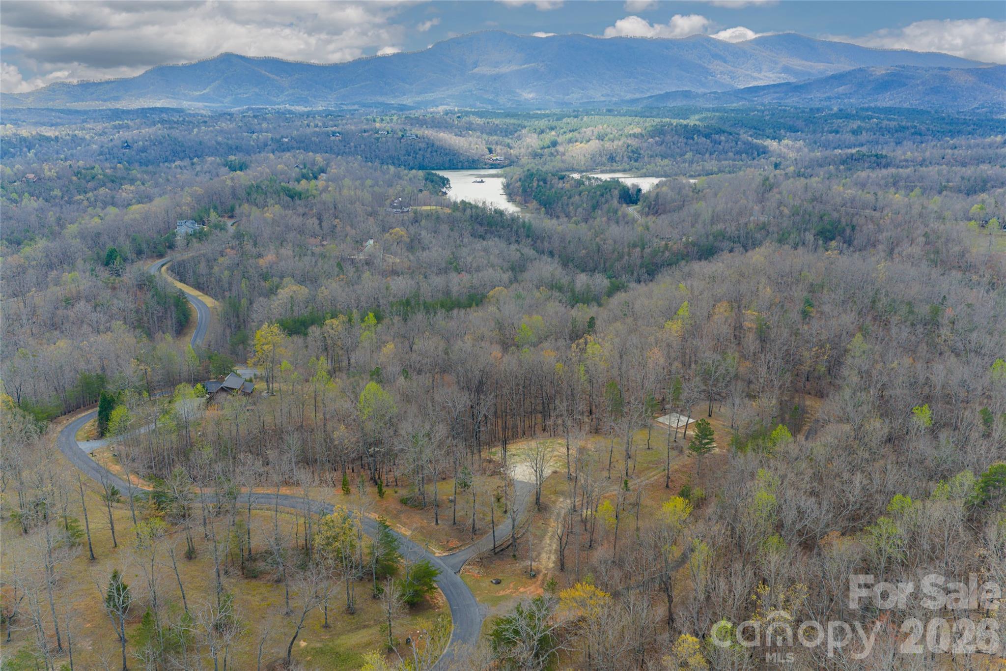 117 North Boundary Road Mill Spring, NC 28756 - Photo 10 of 14