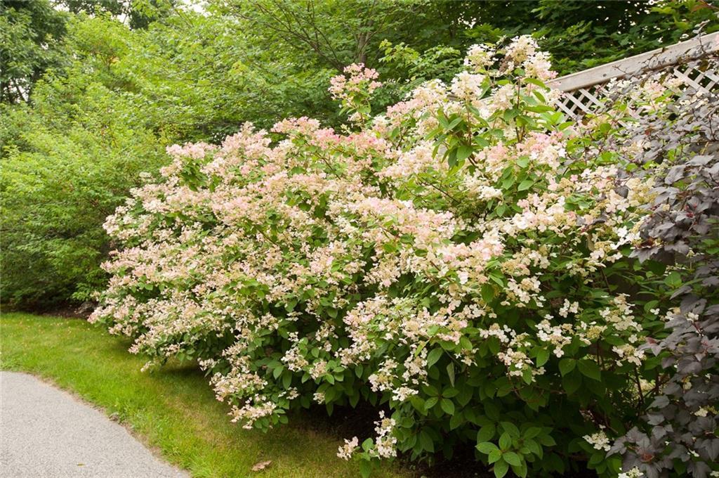 5 B Westvale Road, Unit B Kennebunkport, ME 04046 - Photo 25 of 29 Gardens are well cared for and so...