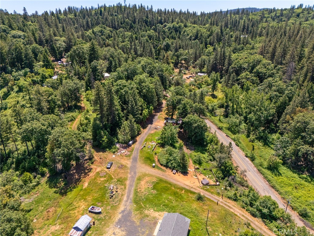 4939 Big Bend Road Oroville, CA 95965 - Photo 12 of 16 a view of a tree with a yard