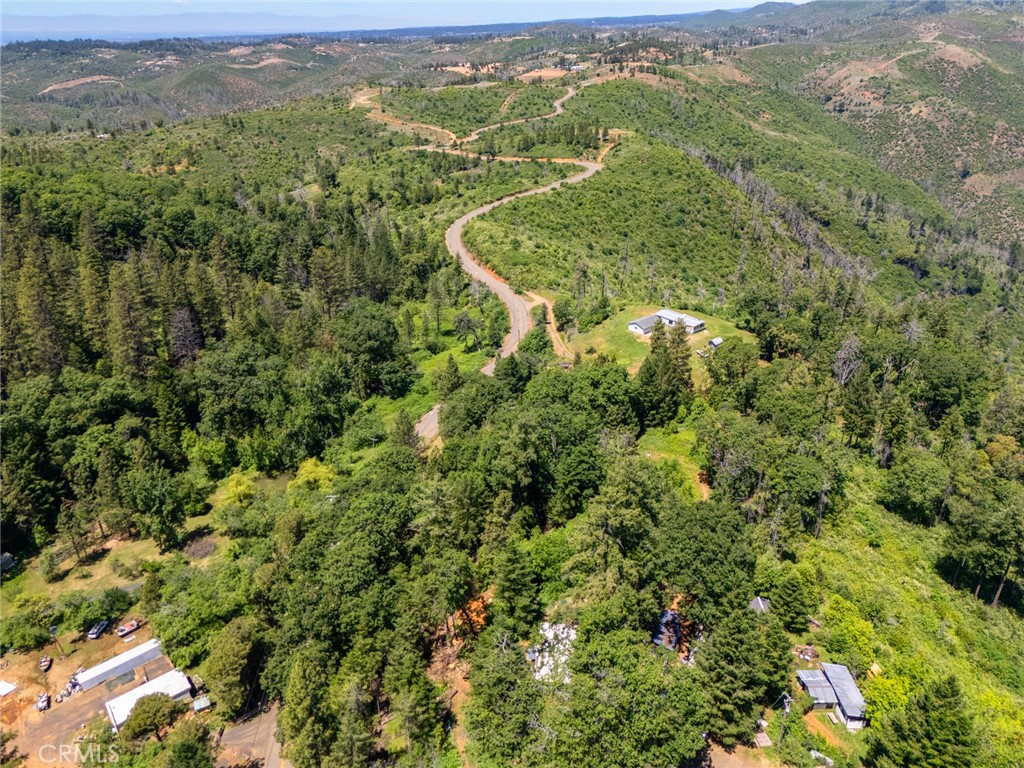 4939 Big Bend Road Oroville, CA 95965 - Photo 15 of 16 a view of a forest with a lake