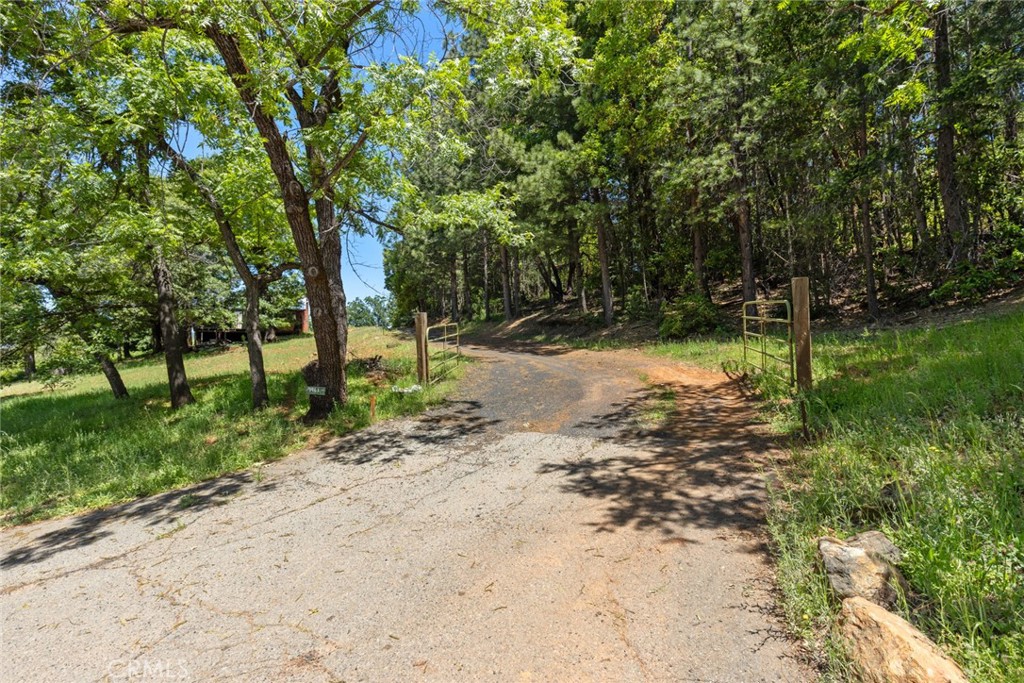 4939 Big Bend Road Oroville, CA 95965 - Photo 2 of 16 a view of a tree in a yard