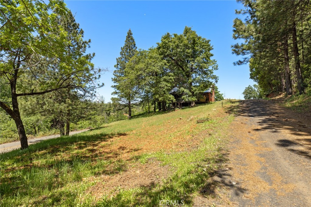 4939 Big Bend Road Oroville, CA 95965 - Photo 3 of 16 a view of a yard with trees in the background