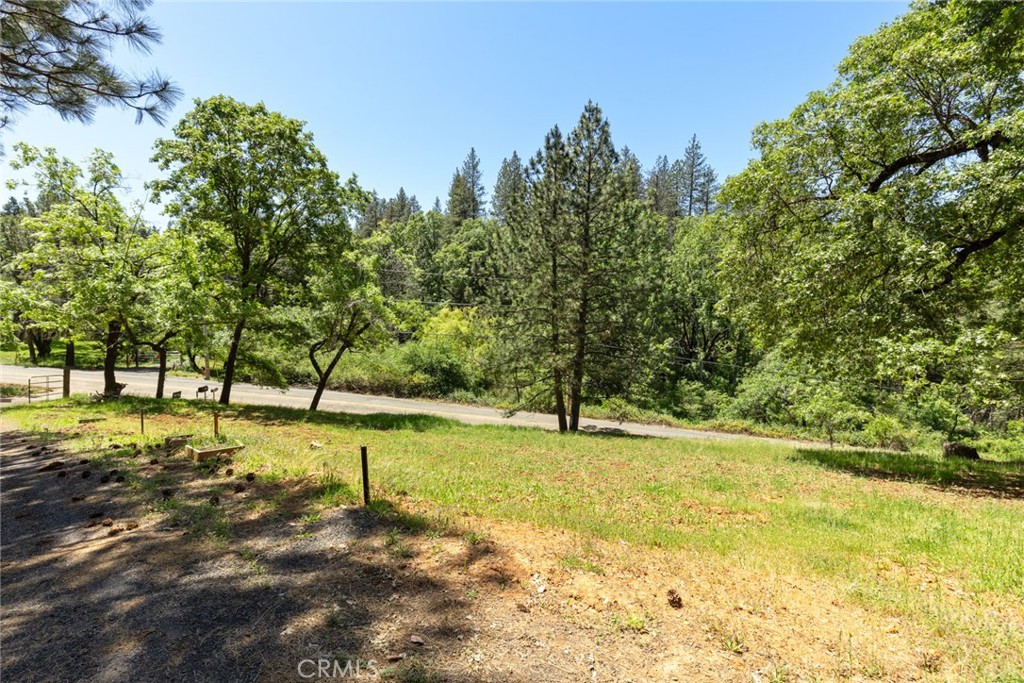4939 Big Bend Road Oroville, CA 95965 - Photo 7 of 16 a view of yard with green space and trees