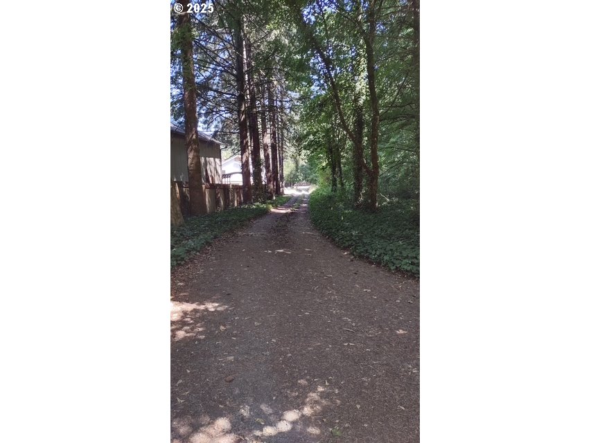 3990 Southwest Borland Road Tualatin, OR 97062 - Photo 2 of 11 a view of a forest with trees in the background