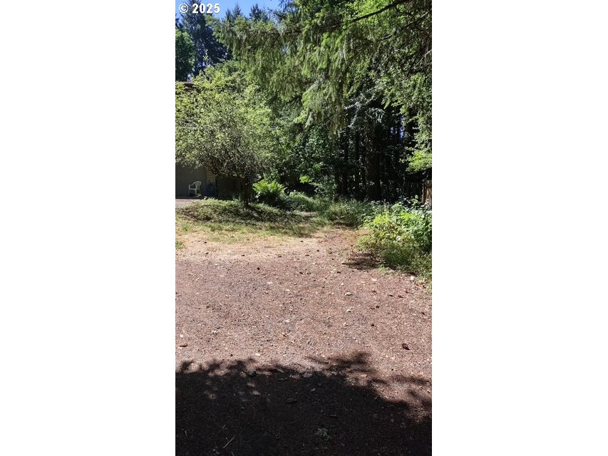 3990 Southwest Borland Road Tualatin, OR 97062 - Photo 3 of 11 a view of a yard