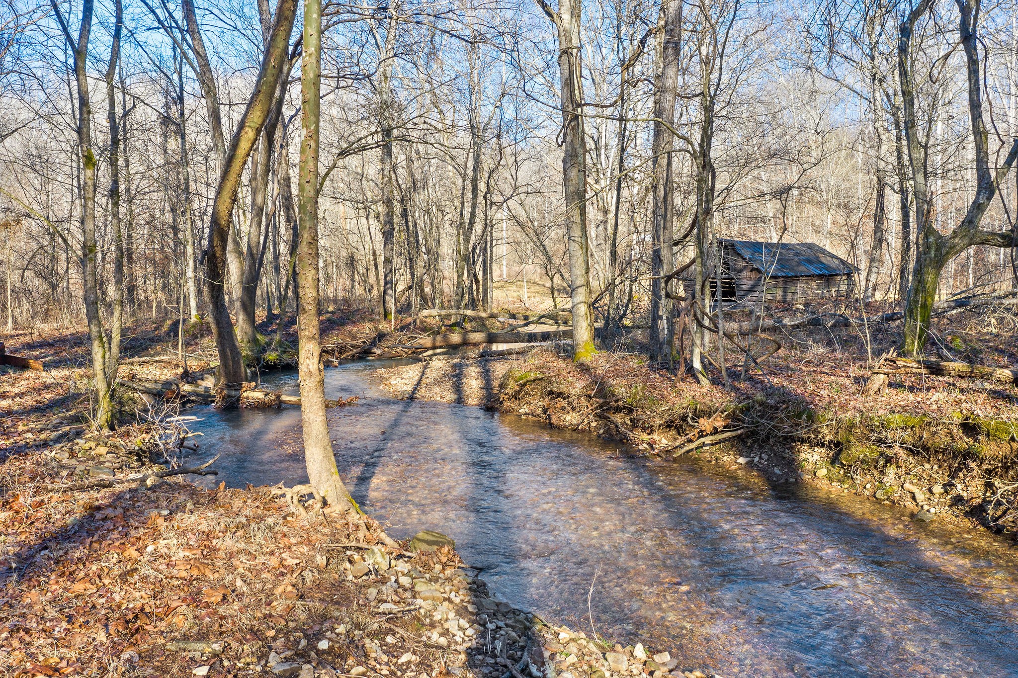 0 Curt Hollow Road Stewart, TN 37175 - Photo 2 of 13 Gallery Image 2