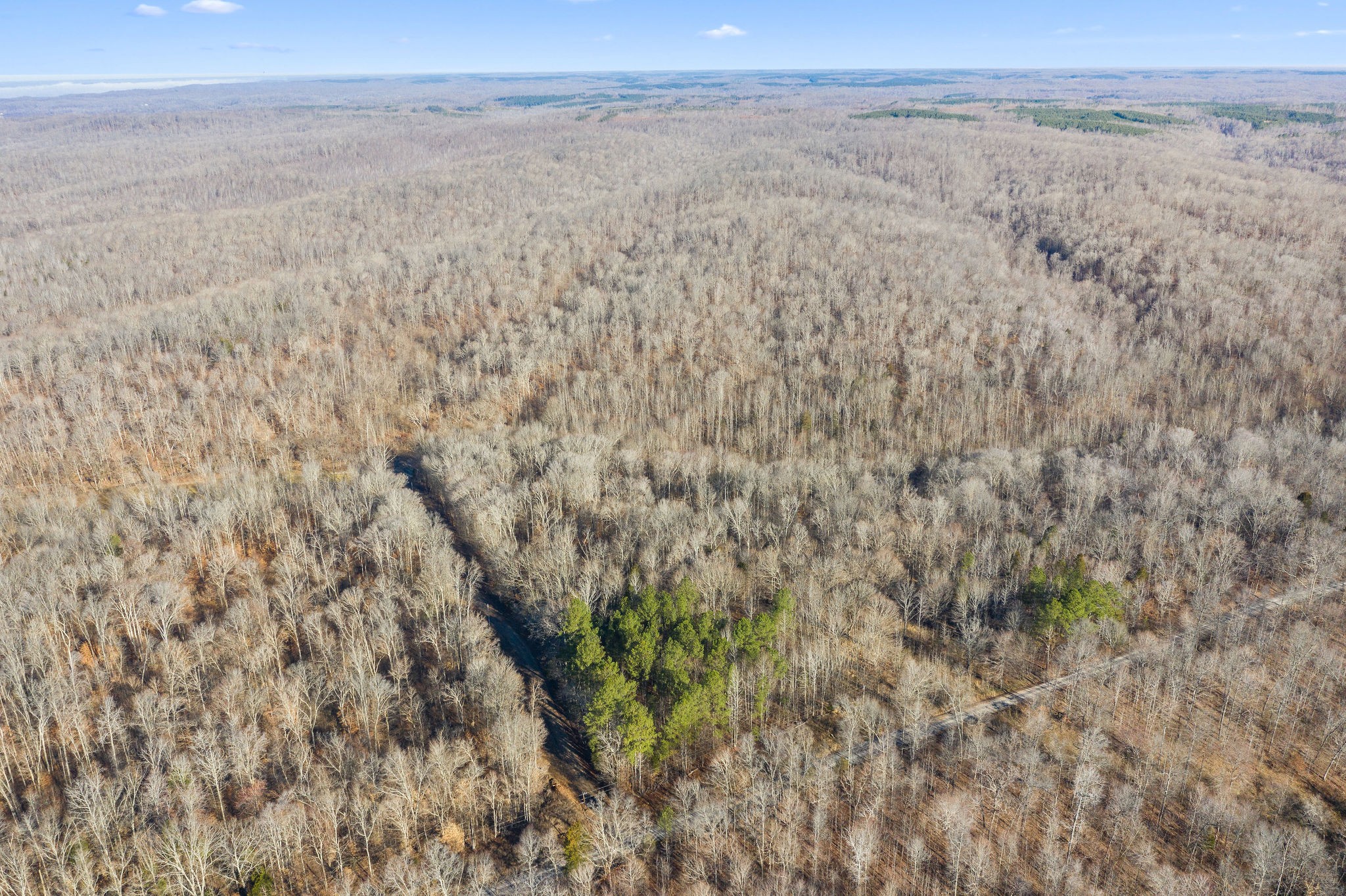 0 Curt Hollow Road Stewart, TN 37175 - Photo 11 of 13 Gallery Image 11