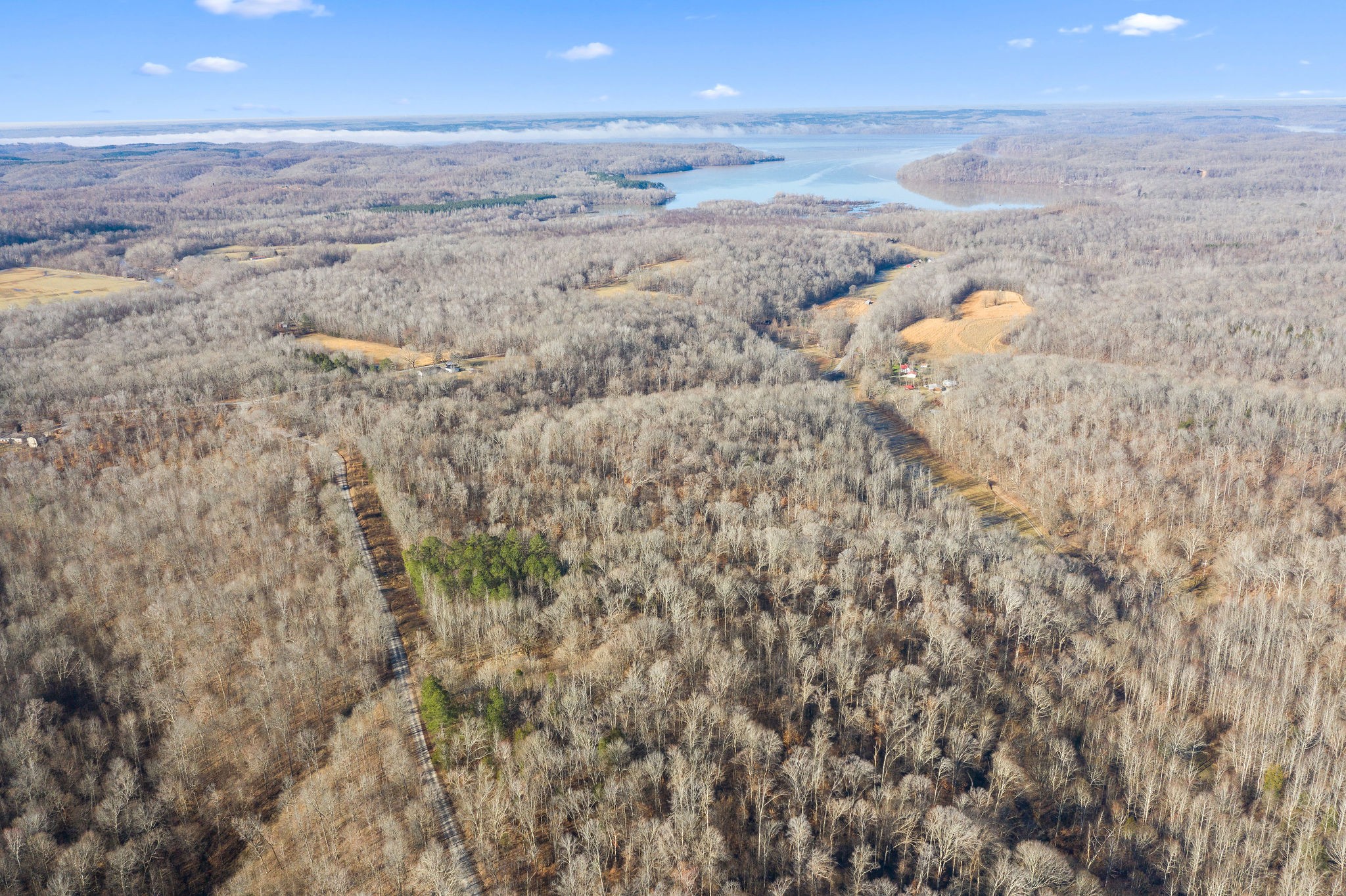0 Curt Hollow Road Stewart, TN 37175 - Photo 12 of 13 Gallery Image 12