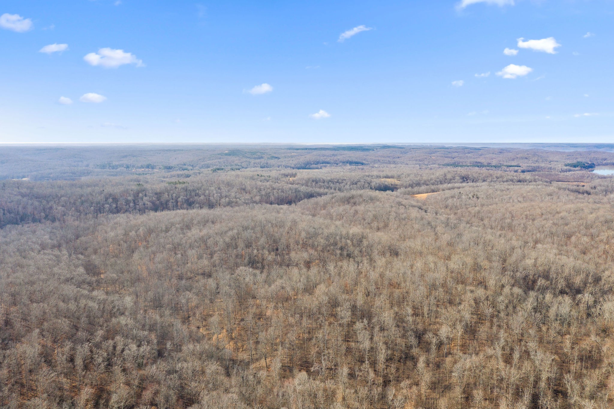 0 Curt Hollow Road Stewart, TN 37175 - Photo 4 of 13 Gallery Image 4