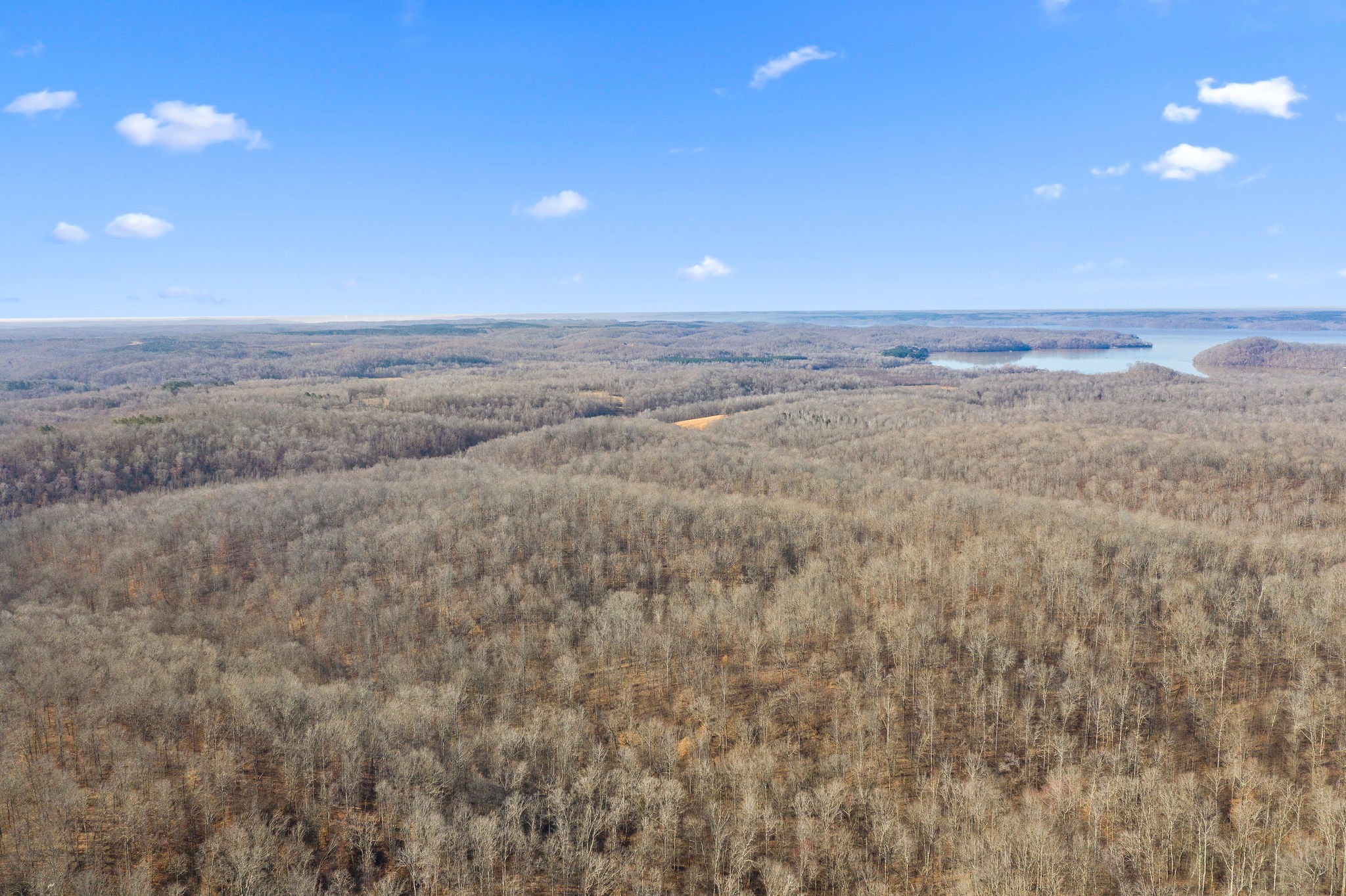 0 Curt Hollow Road Stewart, TN 37175 - Photo 5 of 13 Gallery Image 5