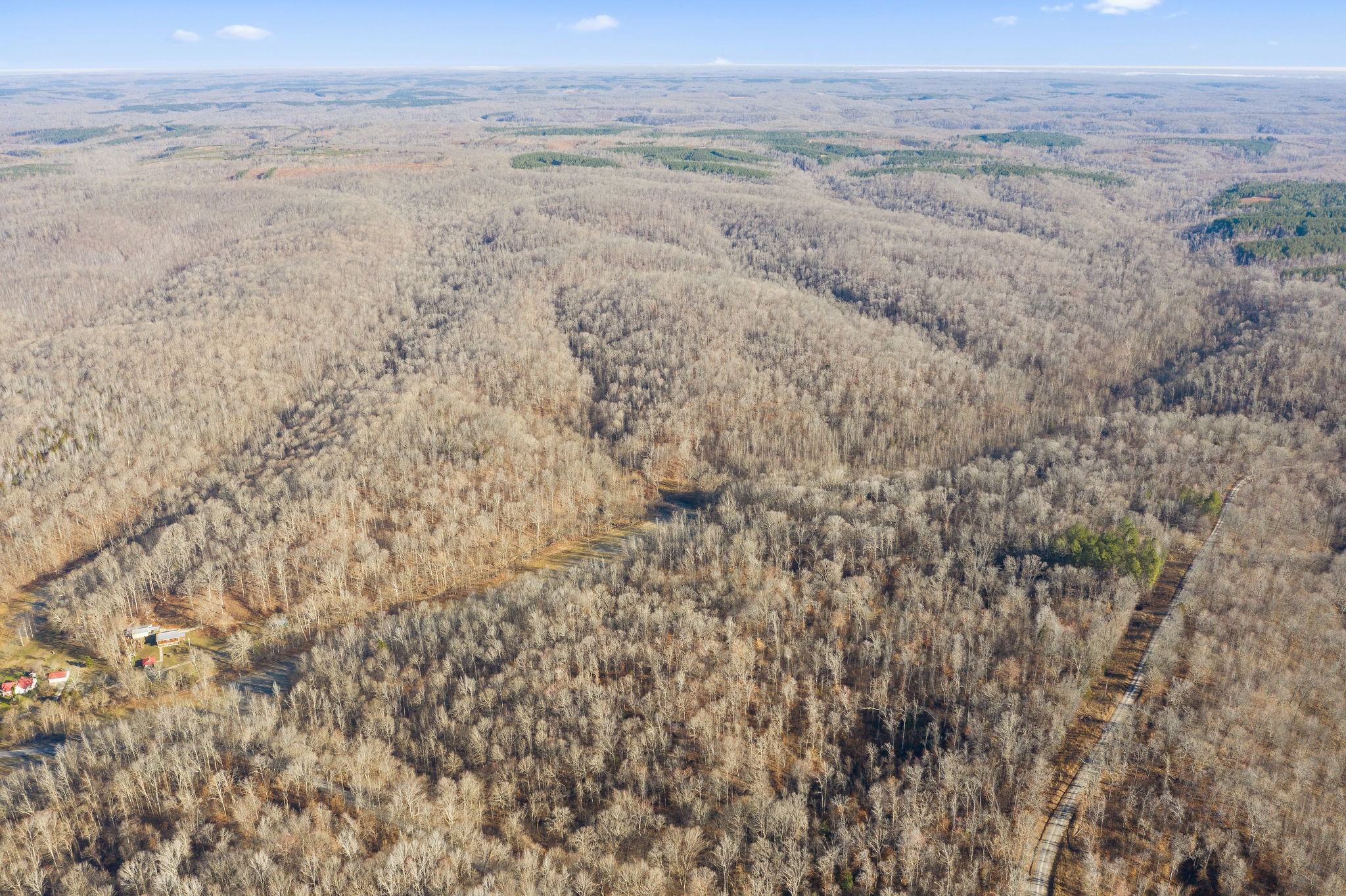 0 Curt Hollow Road Stewart, TN 37175 - Photo 6 of 13 Gallery Image 6