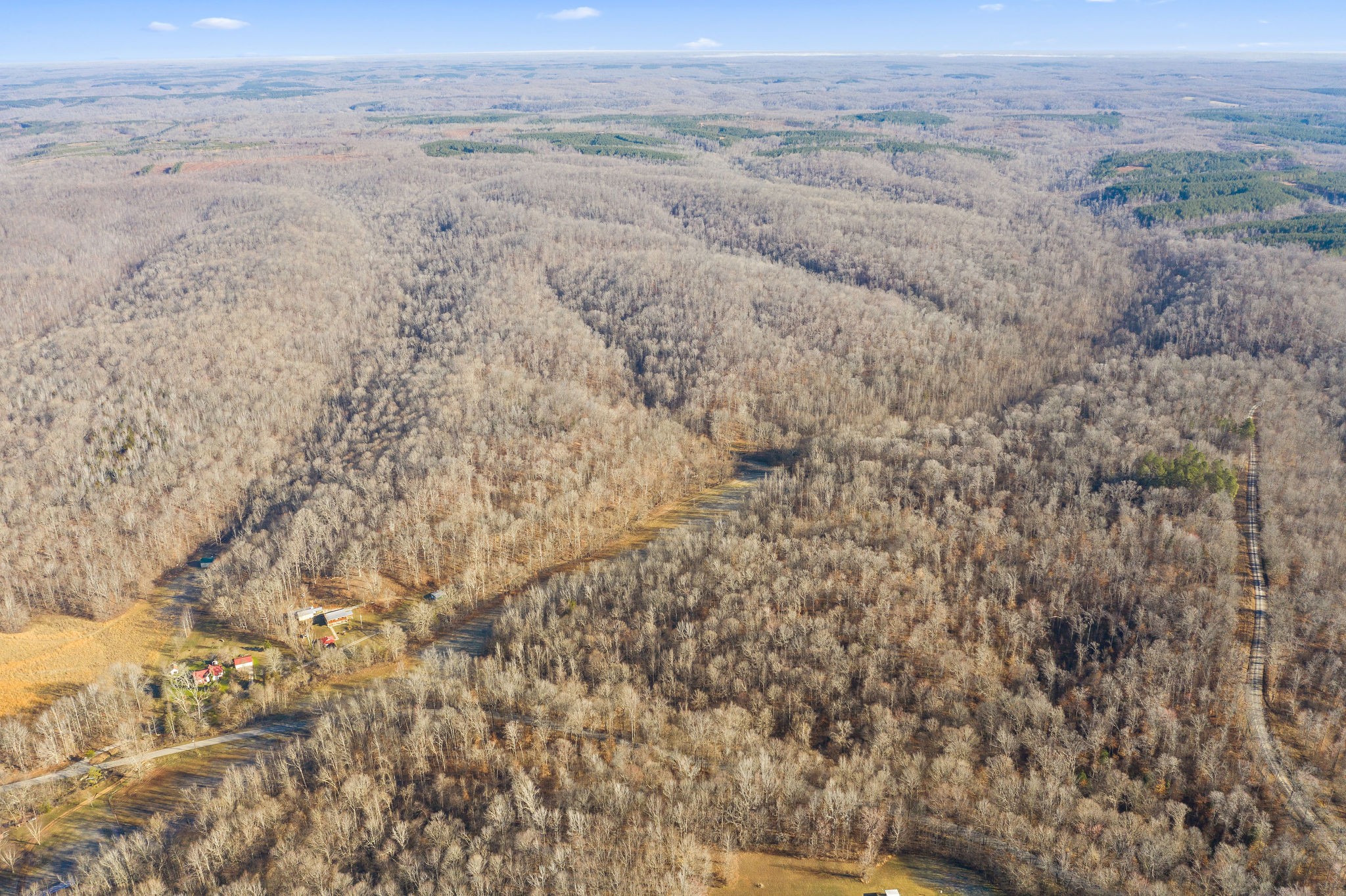 0 Curt Hollow Road Stewart, TN 37175 - Photo 7 of 13 Gallery Image 7