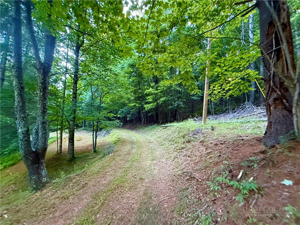 1025 Lue Jones Road Warrensville, NC 28693 - Photo 8 of 23