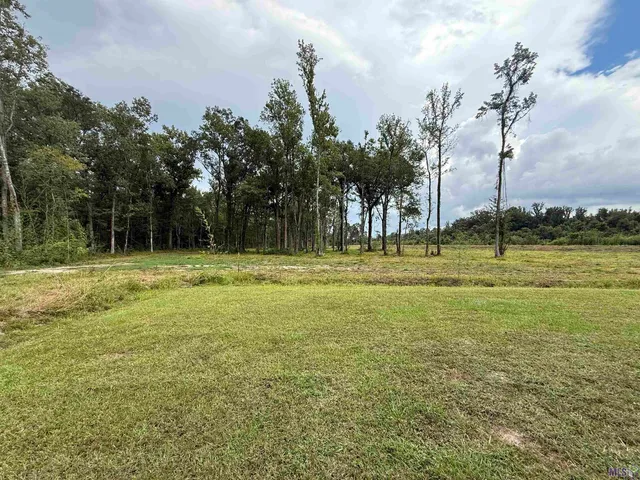 $209,000 | 6-z-1-b Pertuis Road, St. Amant, LA 70774