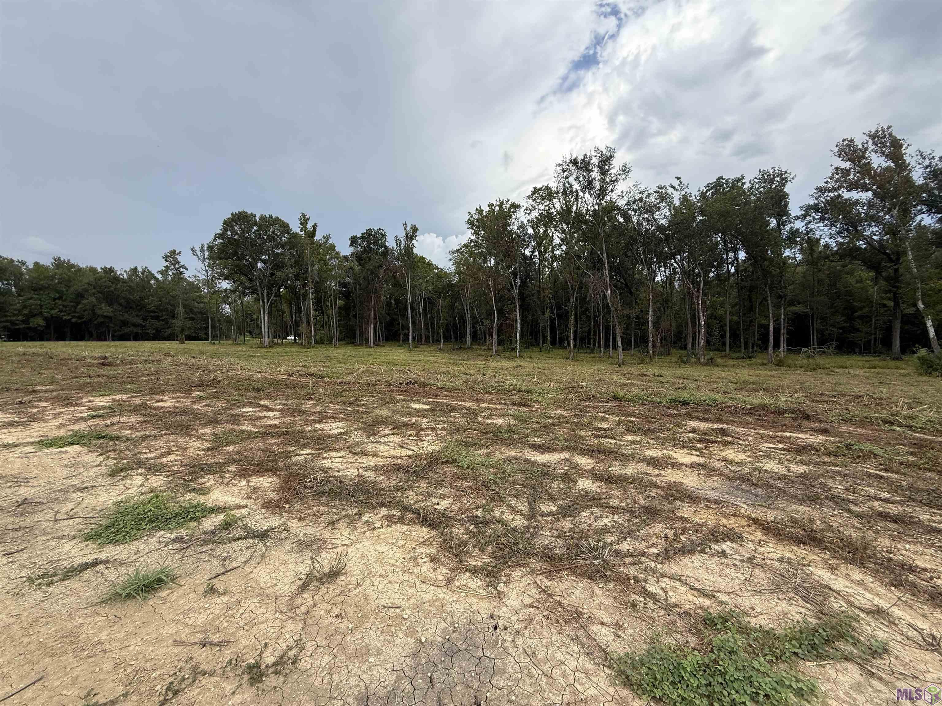 6-z-1-b Pertuis Road St. Amant, LA 70774 - Photo 12 of 16