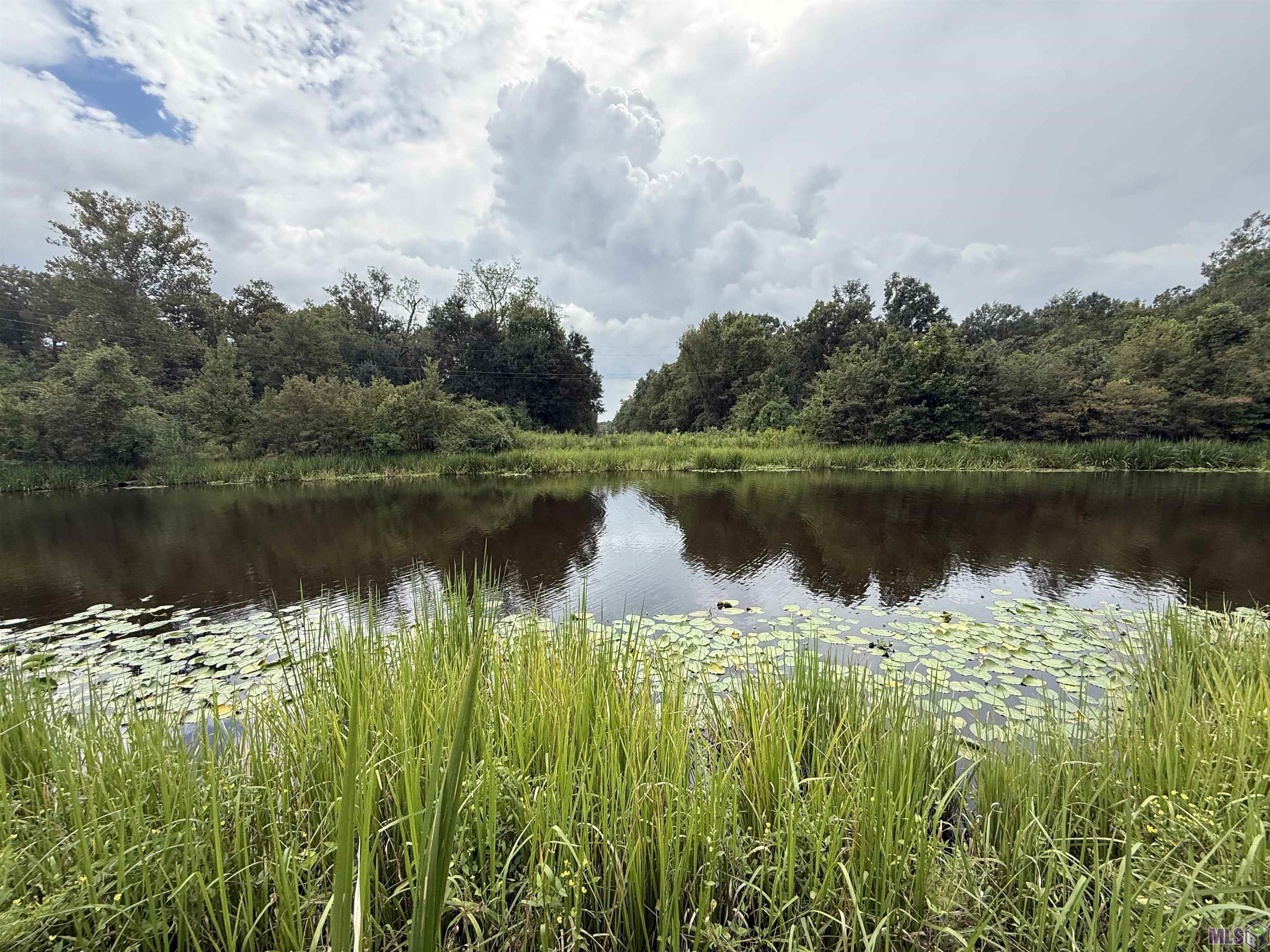 6-z-1-b Pertuis Road St. Amant, LA 70774 - Photo 2 of 16