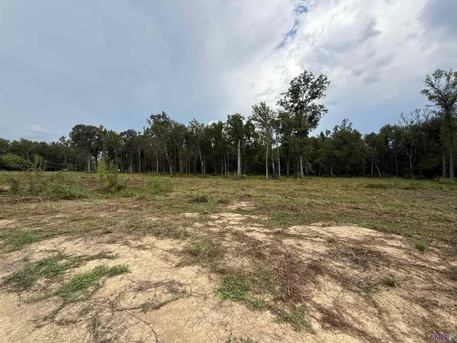 $209,000 | 6-z-1-b Pertuis Road, St. Amant, LA 70774