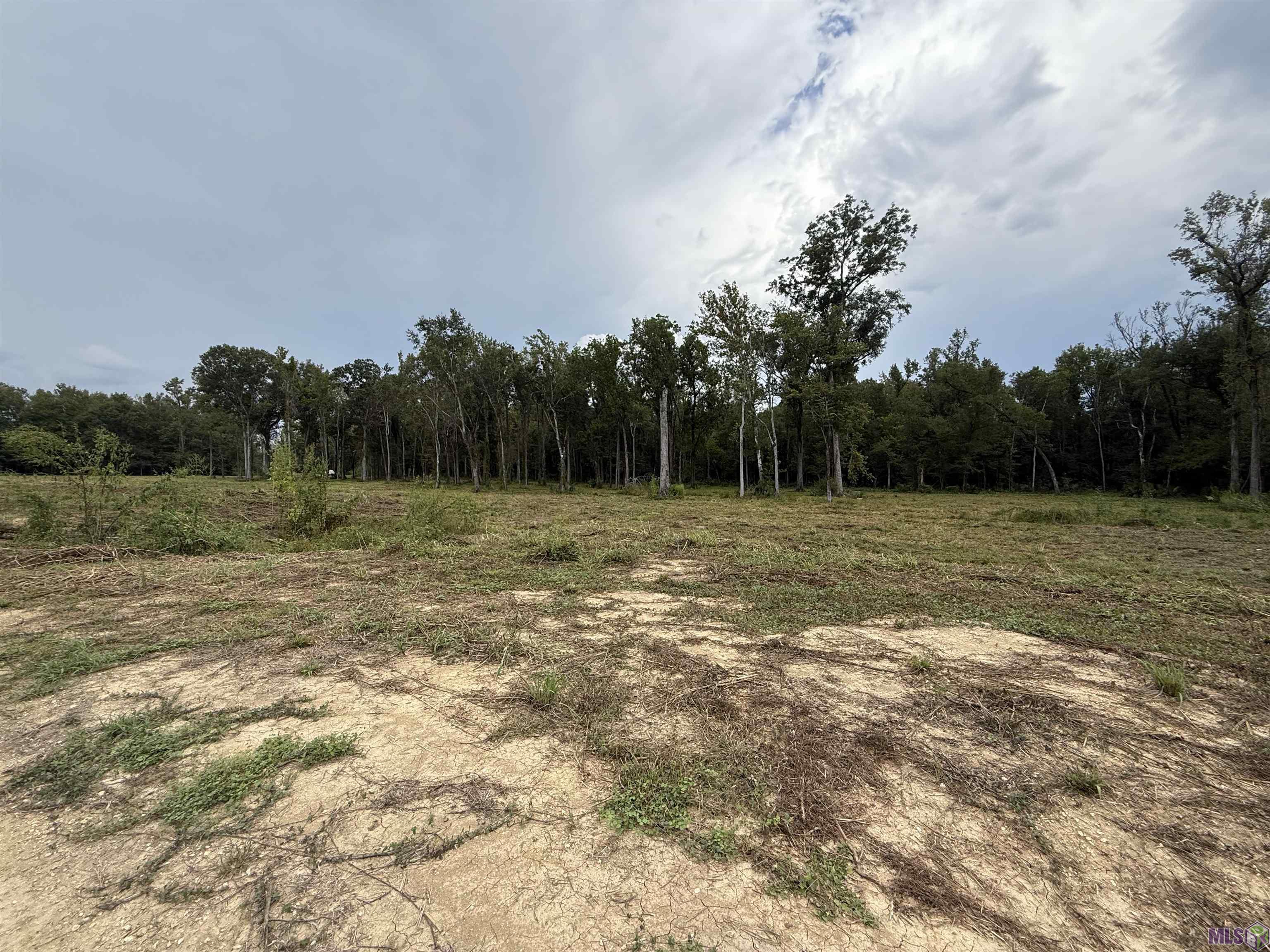 6-z-1-b Pertuis Road St. Amant, LA 70774 - Photo 3 of 16