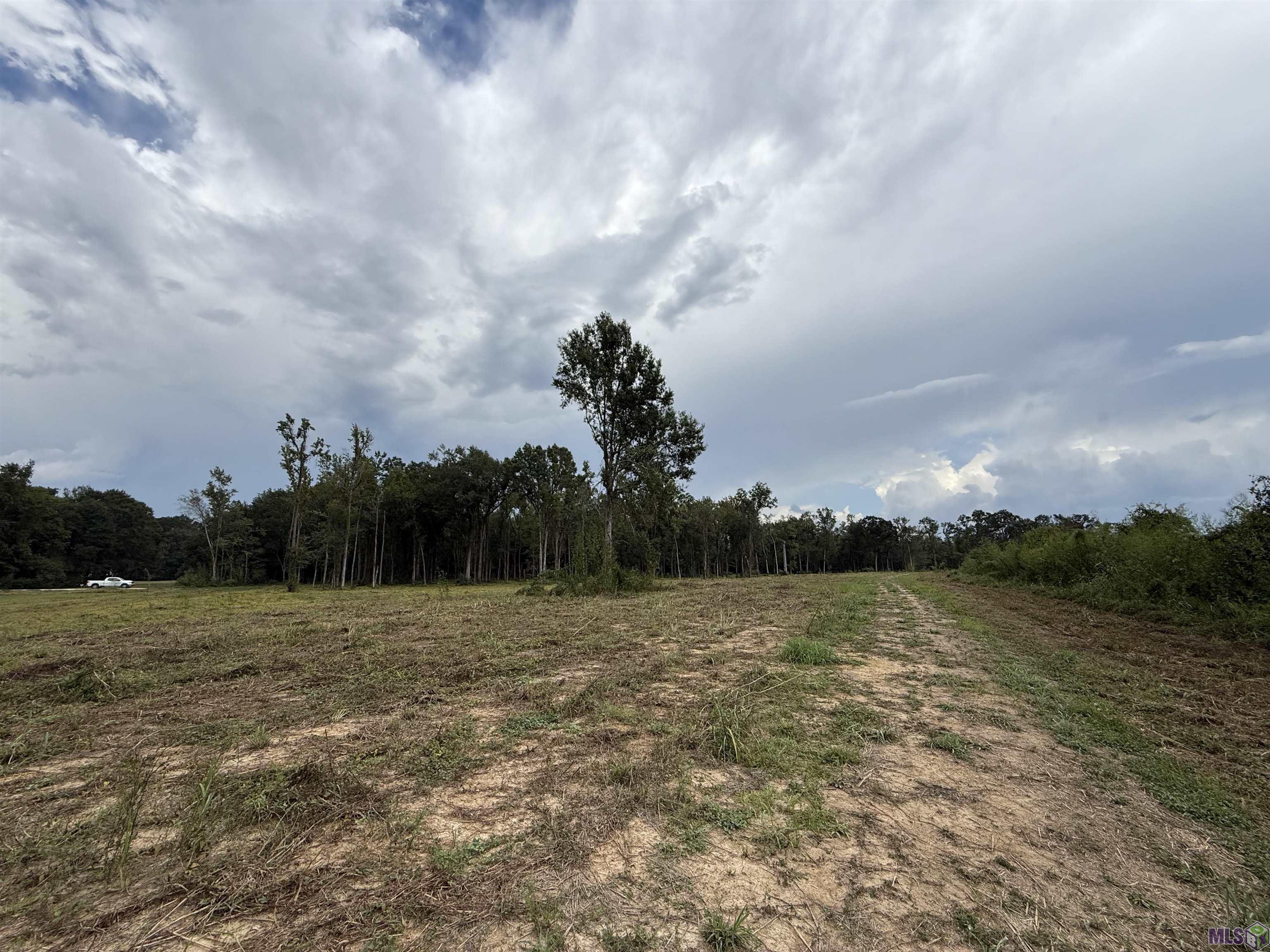 6-z-1-b Pertuis Road St. Amant, LA 70774 - Photo 5 of 16