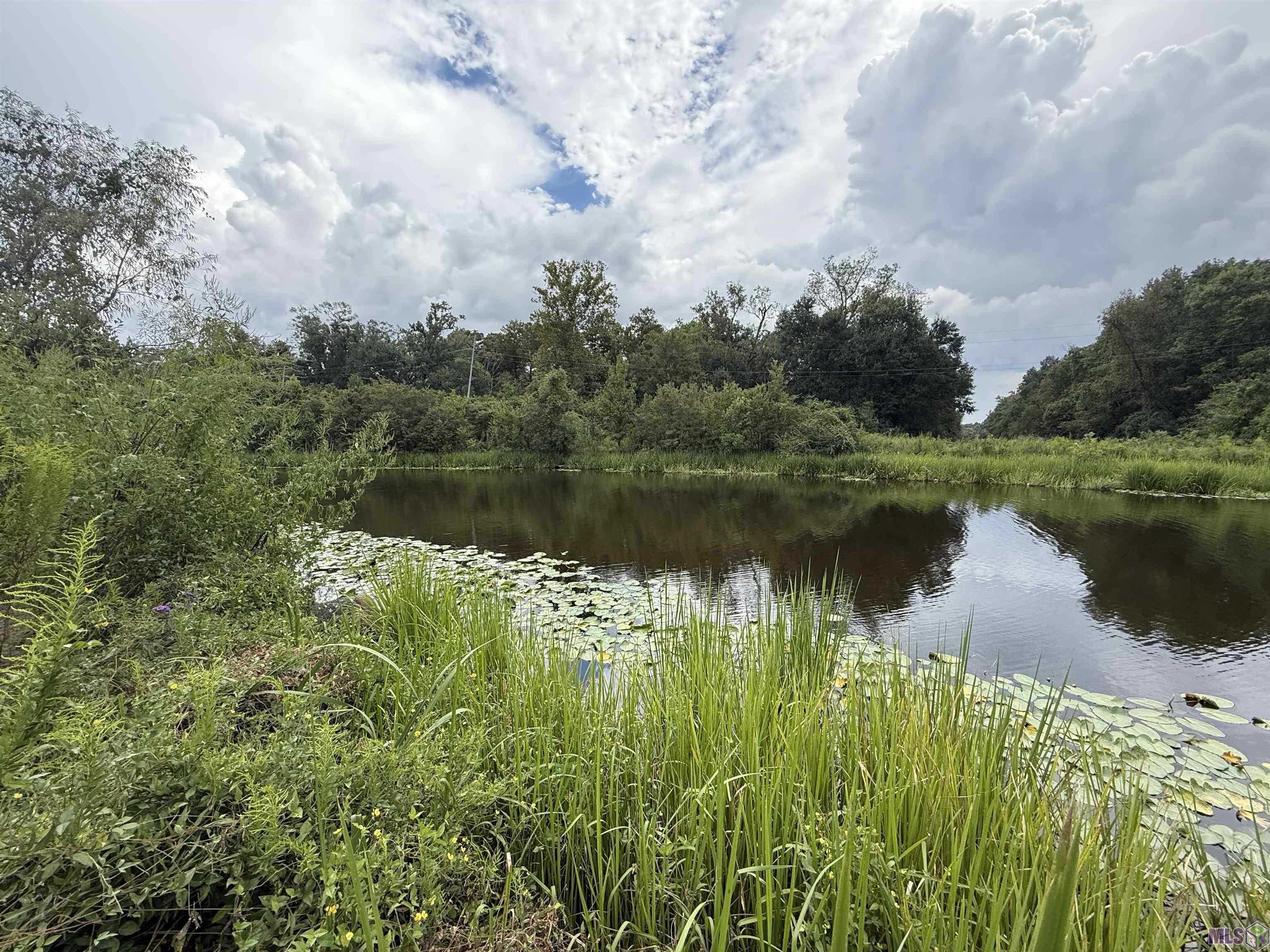 6-z-1-b Pertuis Road St. Amant, LA 70774 - Photo 8 of 16