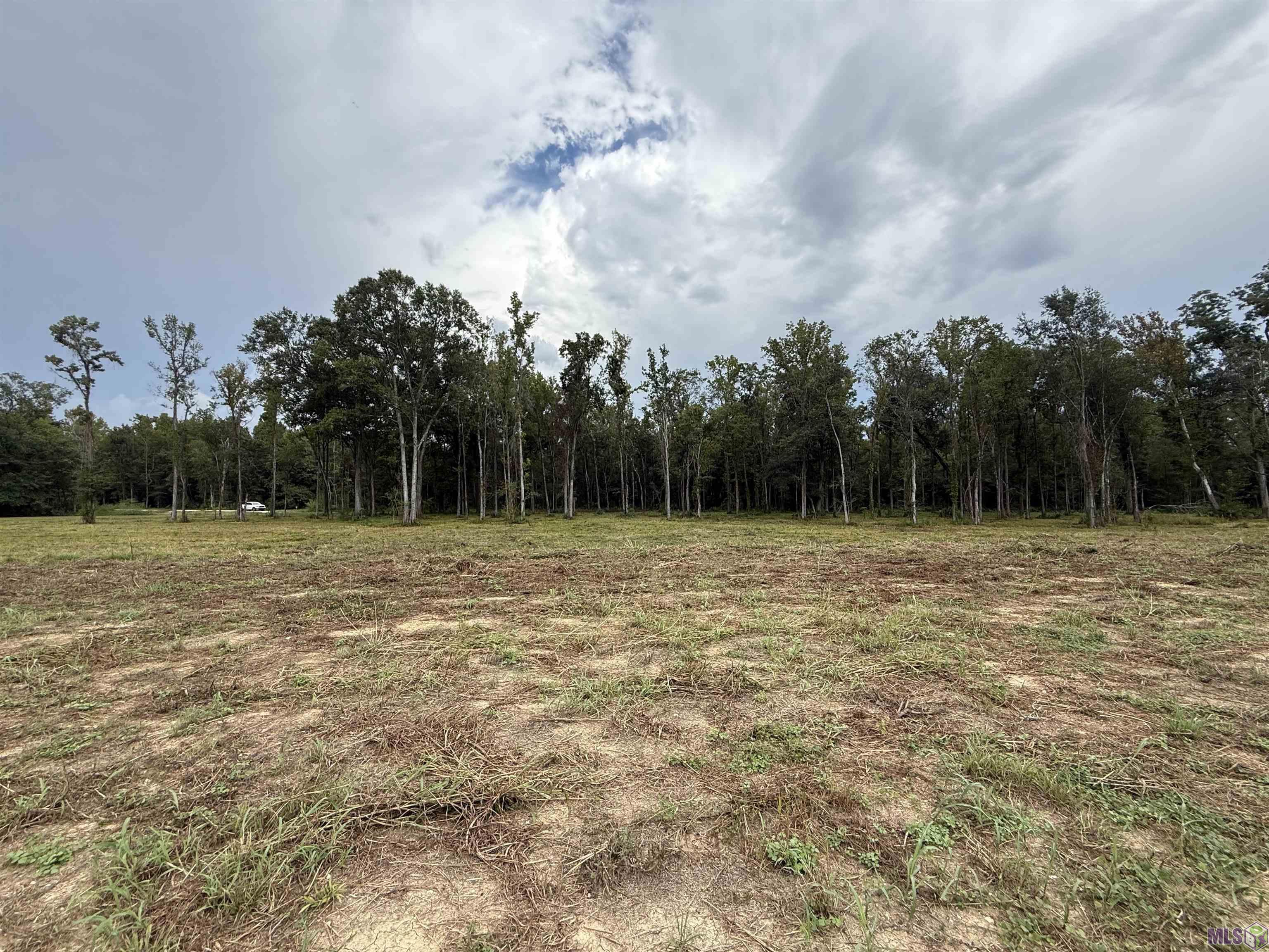 6-z-1-b Pertuis Road St. Amant, LA 70774 - Photo 10 of 16