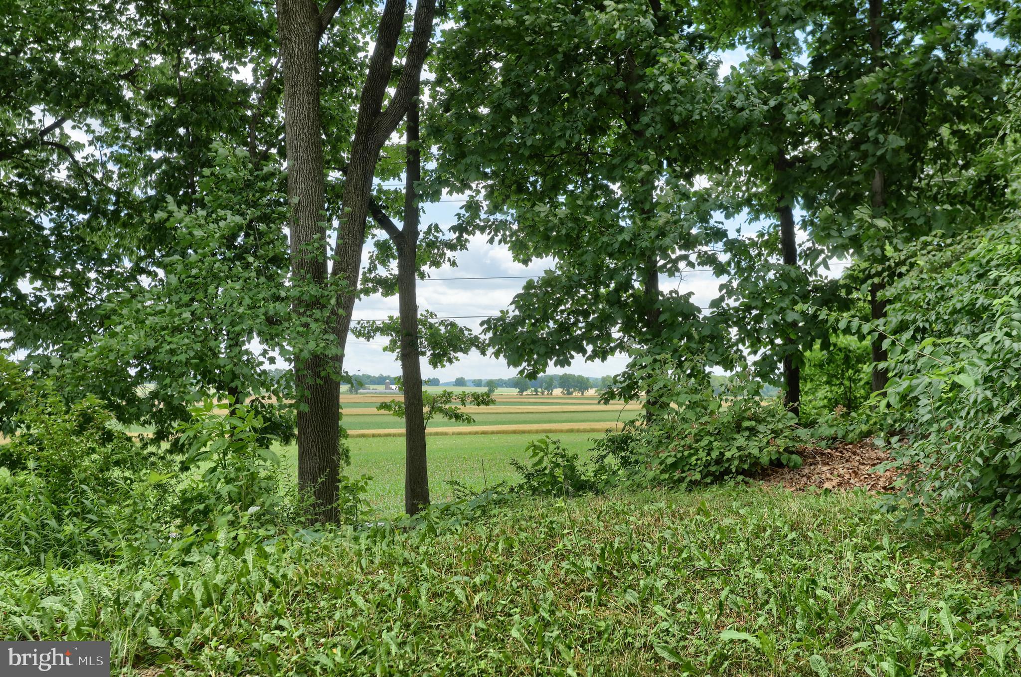 570 Miller Road Elizabethtown, PA 17022 - Photo 40 of 47 Gallery Image 40