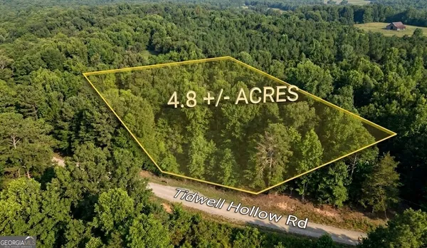 $32,900 | 0 Tidwell Hollow, Unit TRACT A, Oneonta, AL 35121