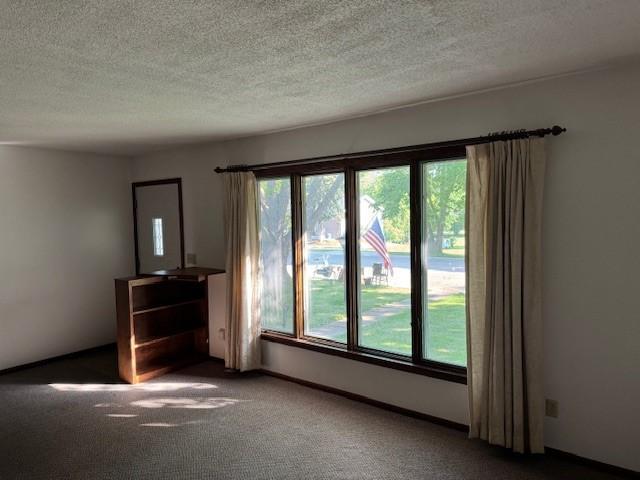 206 3rd Street East Brandon, MN 56315 - Photo 4 of 21