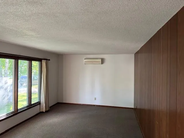 $196,900 | 206 3rd Street East, Brandon, MN 56315