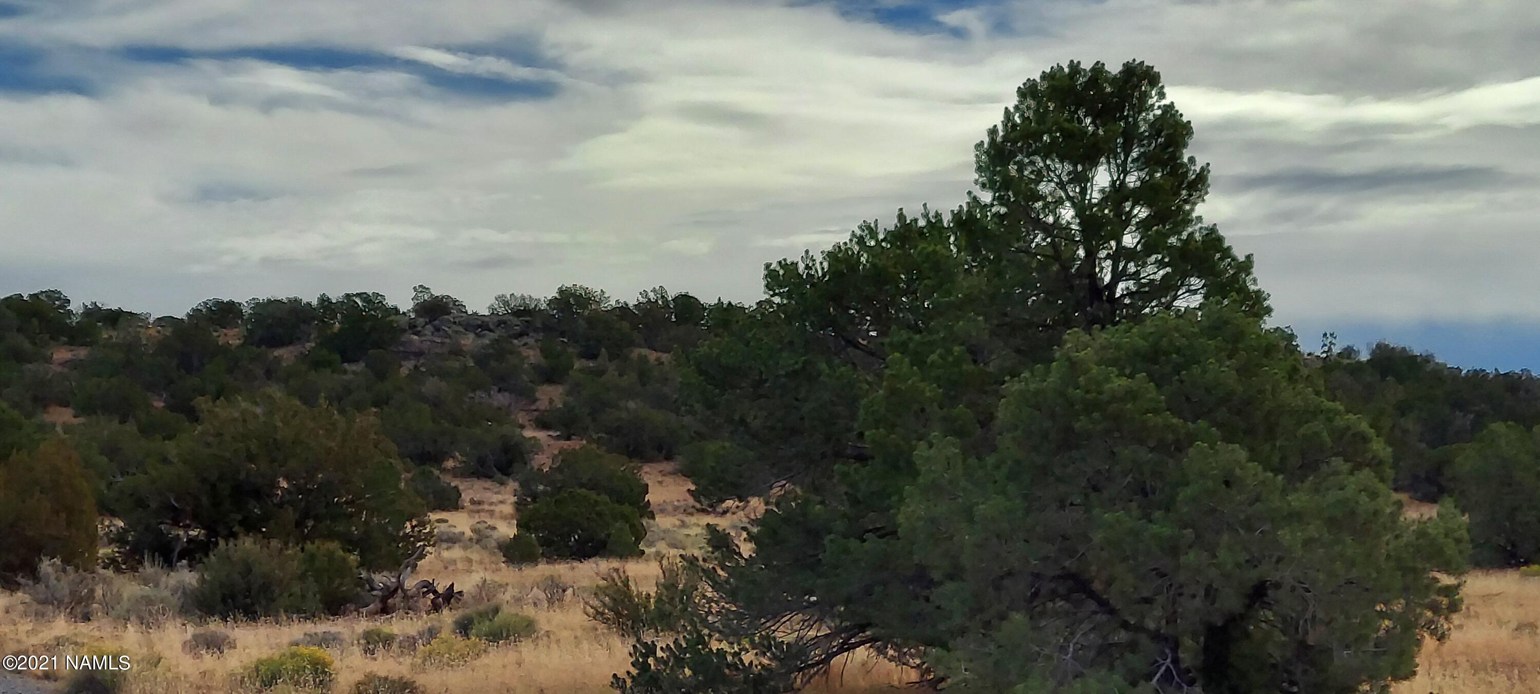 6707 North S Rim Ranch Road, Unit 255 Williams, AZ 86046 - Photo 12 of 63 20211102_102943