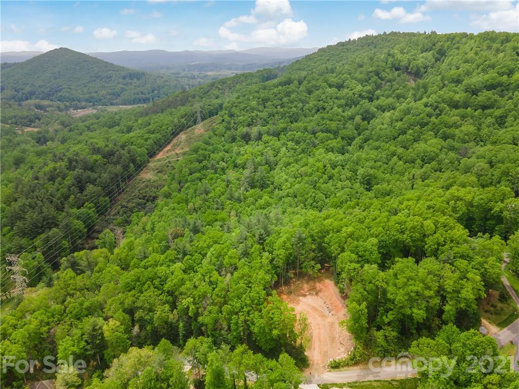 113 Judson Ridge Road Arden, NC 28704 - Photo 7 of 15 Gallery Image 7
