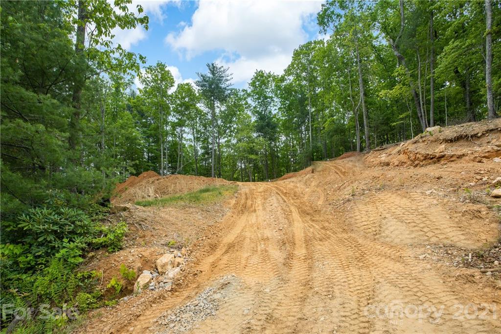 113 Judson Ridge Road Arden, NC 28704 - Photo 8 of 15 Gallery Image 8