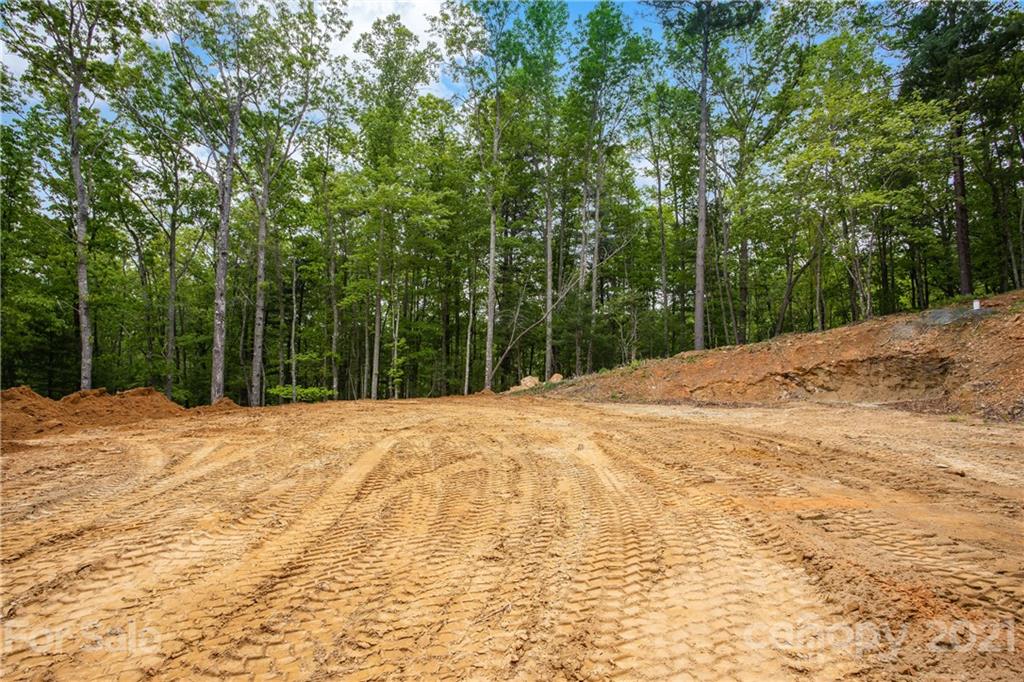 113 Judson Ridge Road Arden, NC 28704 - Photo 9 of 15 Gallery Image 9