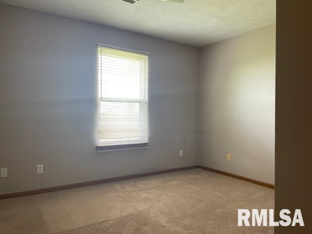 4427 Venetian Drive Springfield, IL 62703 - Photo 10 of 11