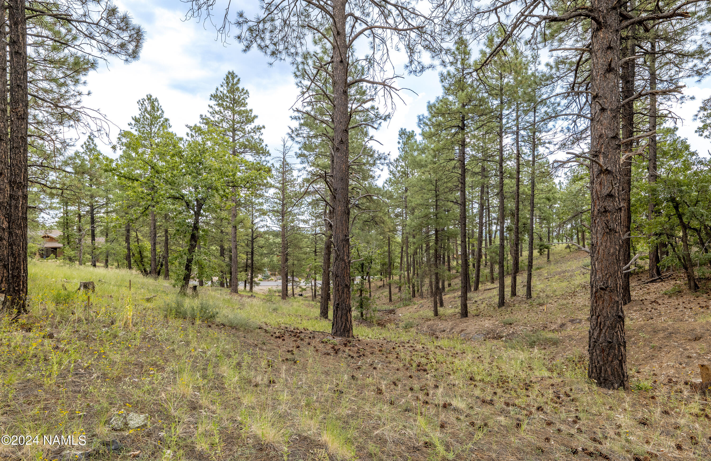 4540 South Flagstaff Ranch Road Flagstaff, AZ 86005 - Photo 13 of 18 a view of outdoor space with trees