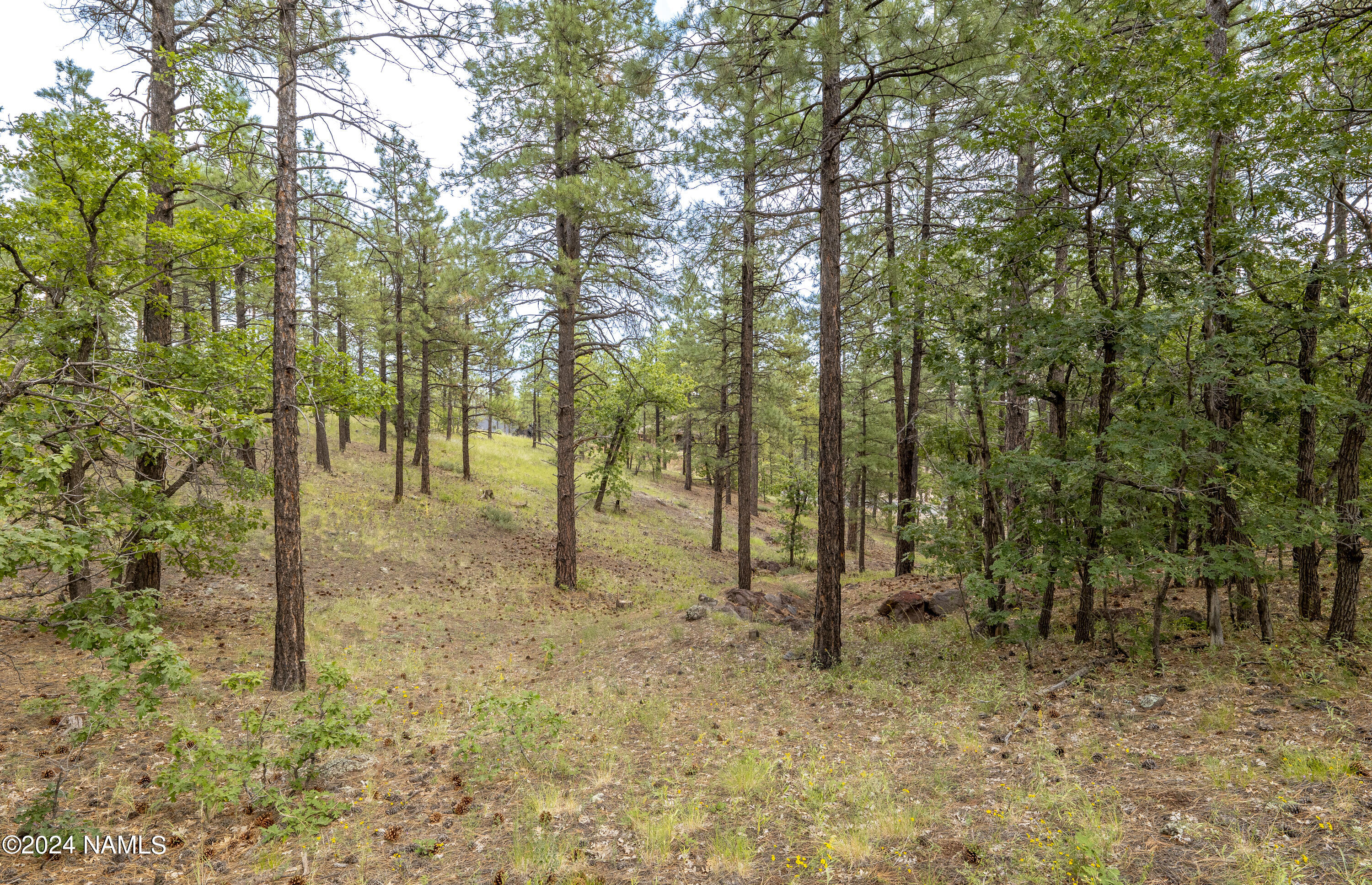 4540 South Flagstaff Ranch Road Flagstaff, AZ 86005 - Photo 14 of 18 a view of outdoor space with trees