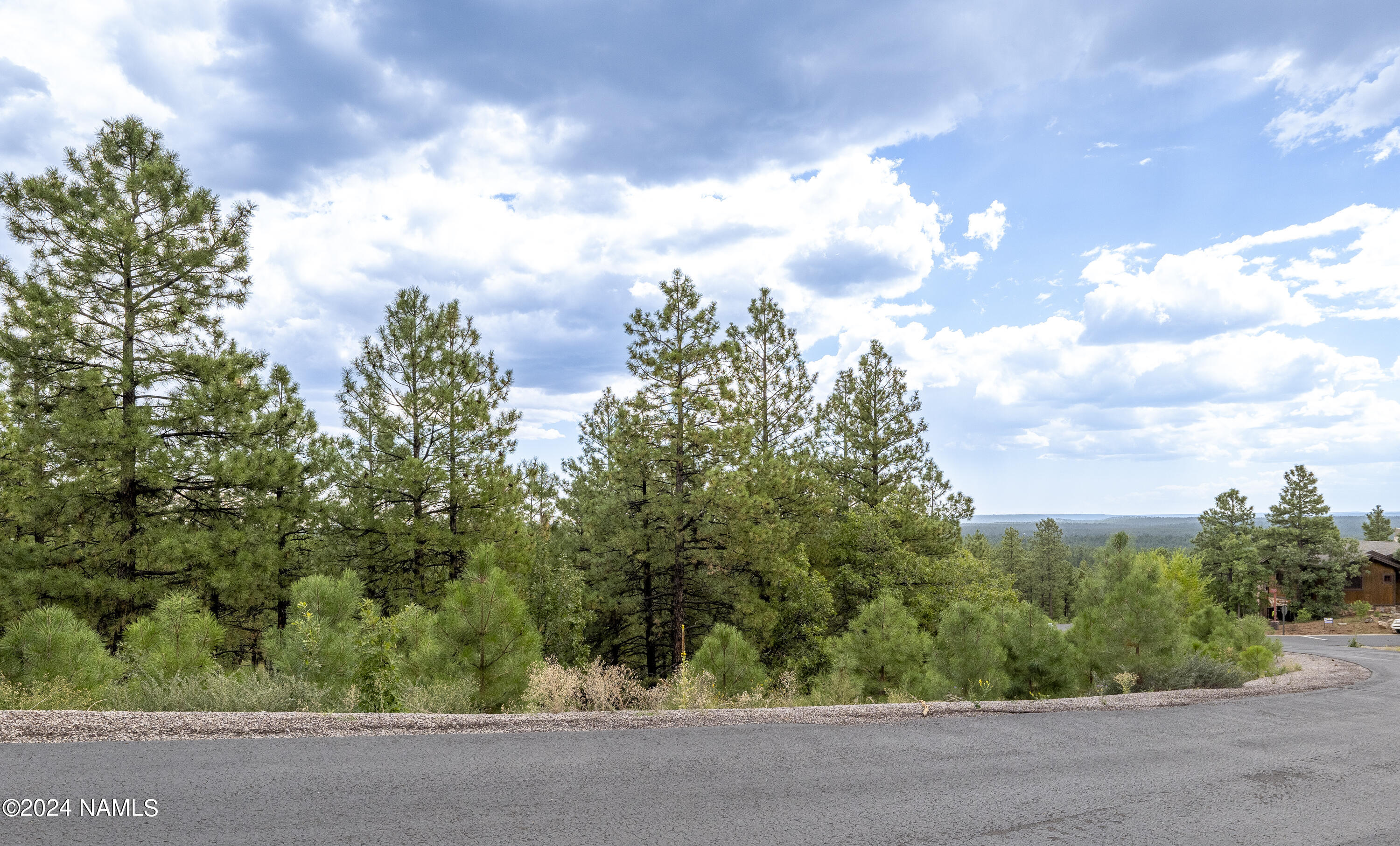 4540 South Flagstaff Ranch Road Flagstaff, AZ 86005 - Photo 17 of 18 view of a bunch of trees