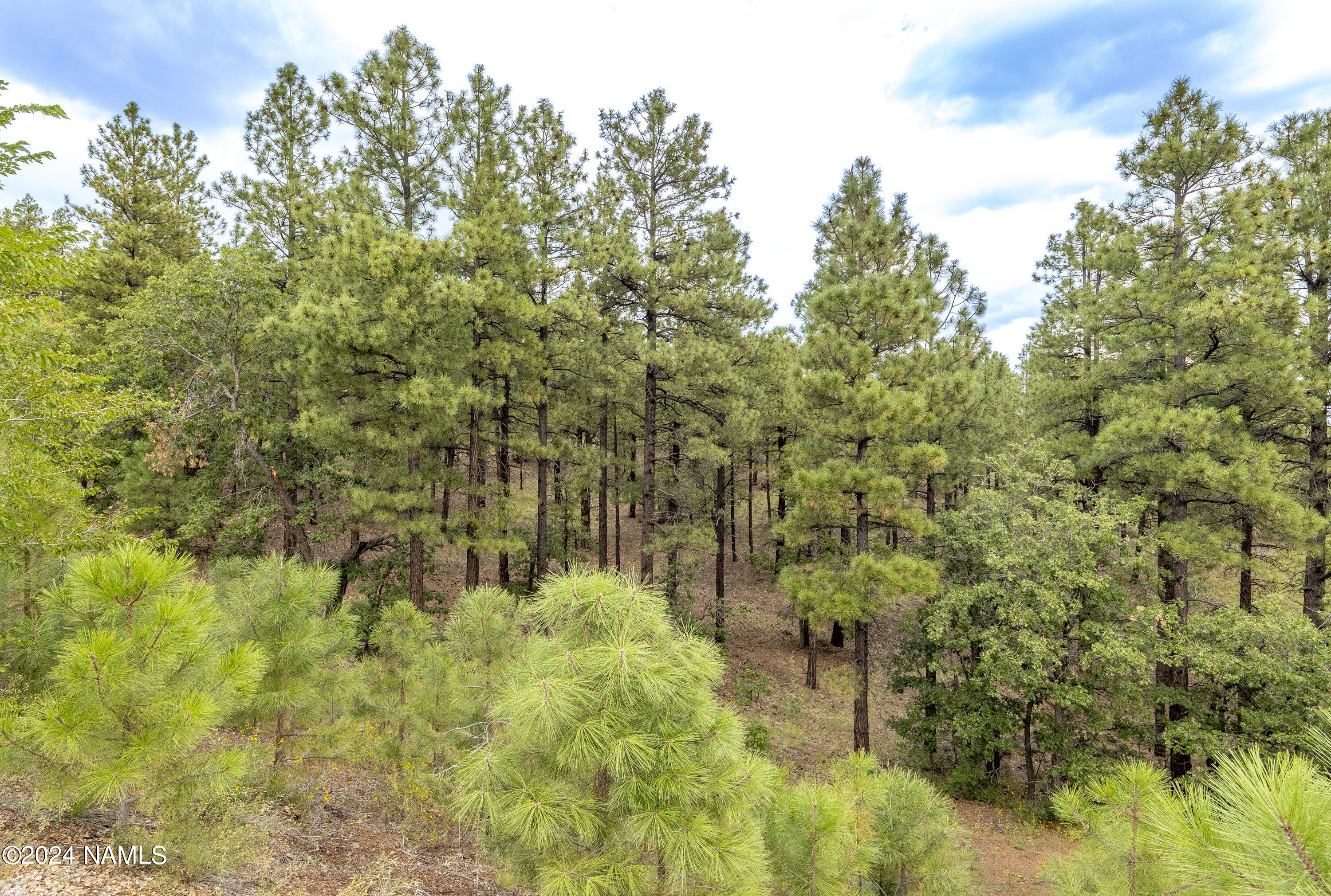 4540 South Flagstaff Ranch Road Flagstaff, AZ 86005 - Photo 18 of 18 a view of a garden