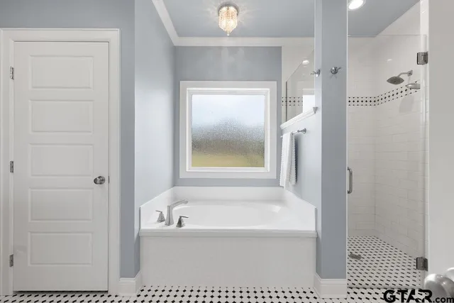 a bathroom with a bathtub and a shower