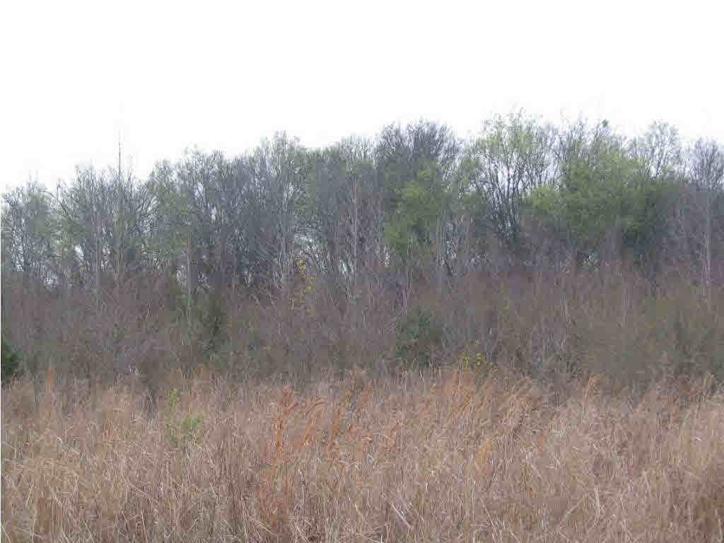 102 Brown Road West Canton, MS 39046 - Photo 1 of 1 Photo 1