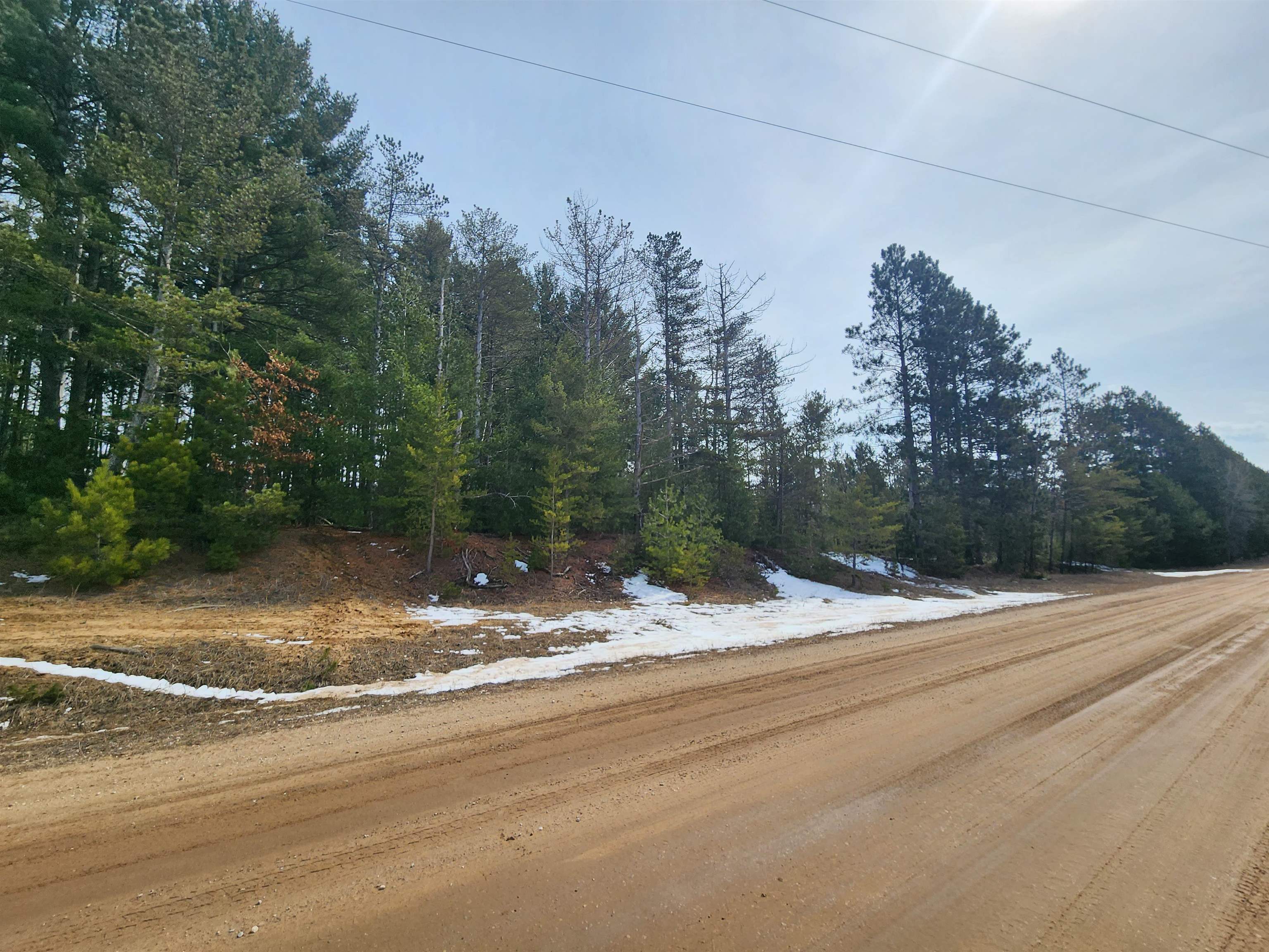 0 Niemi Road Kaleva, MI 49645 - Photo 14 of 23