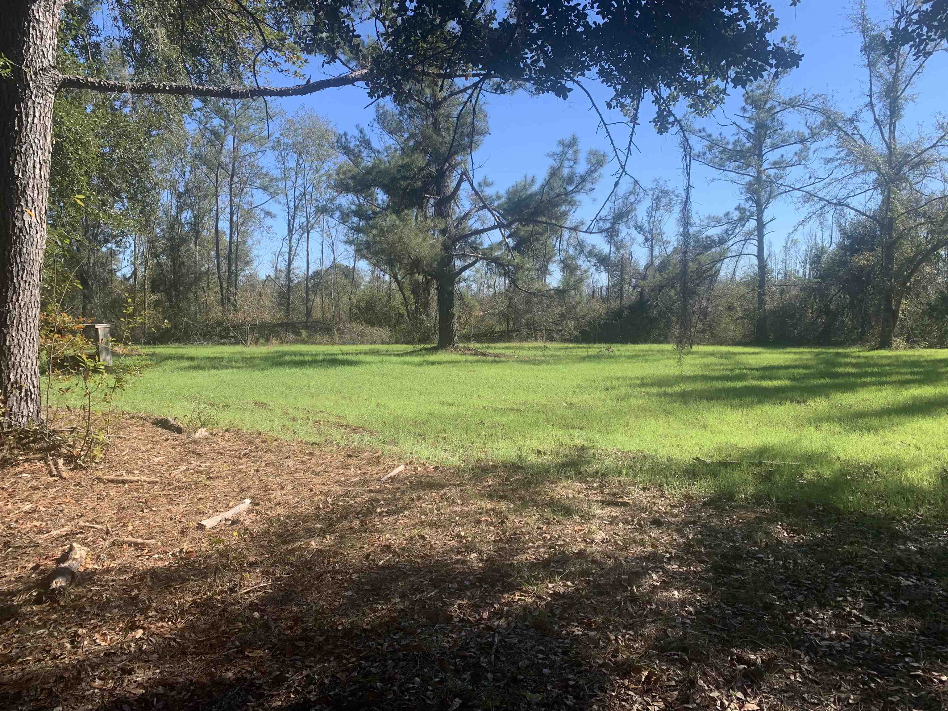 1701 Southwest Moseley Hall Road Madison, FL 32340 - Photo 1 of 35 Gallery Image 1