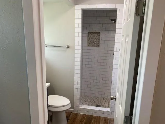 a bathroom with a toilet and a shower