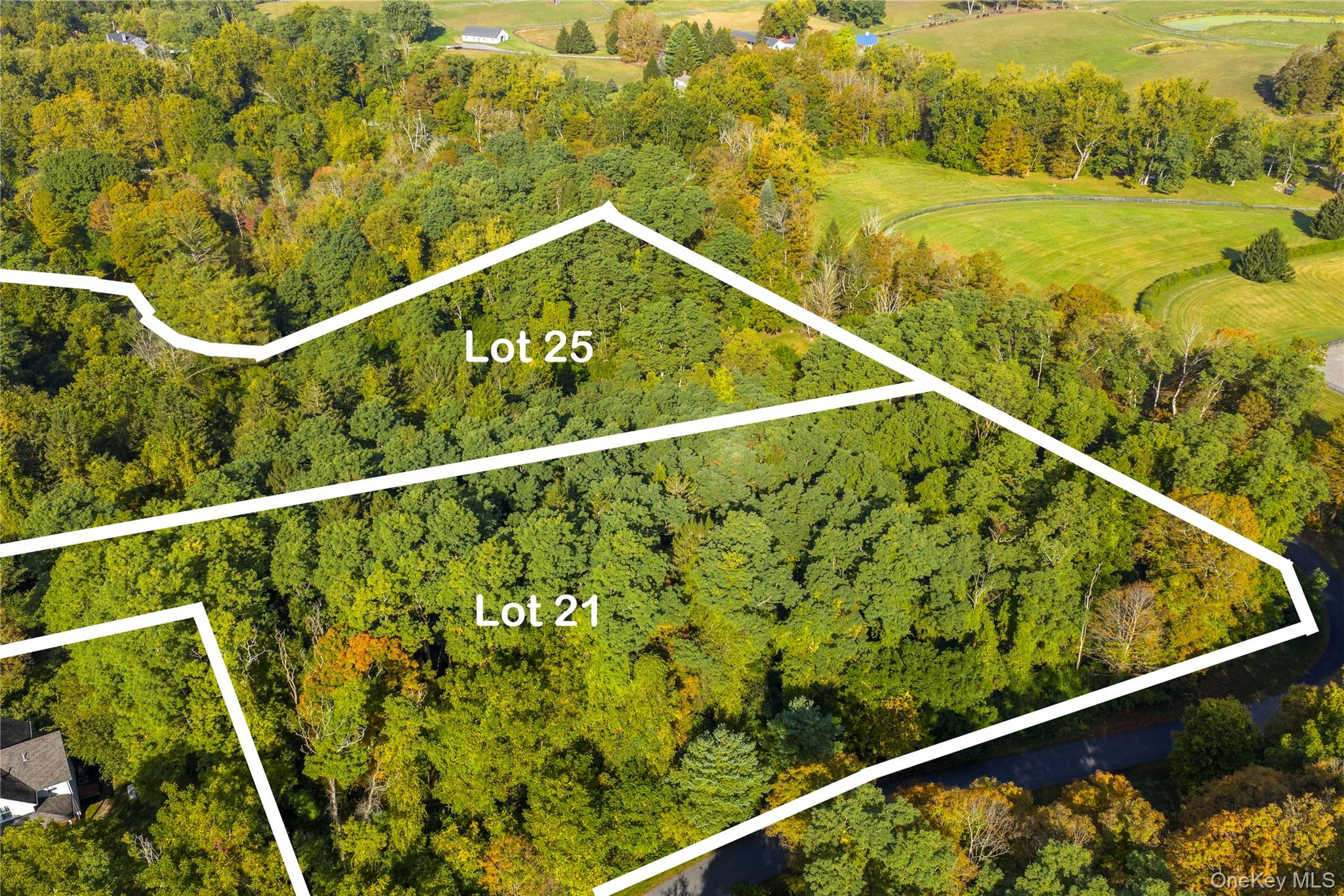 Lot 21 Cox Road Pawling, NY 12564 - Photo 2 of 8 Aerial overview of property's location featuring a heavily wooded area and property parcel outlined