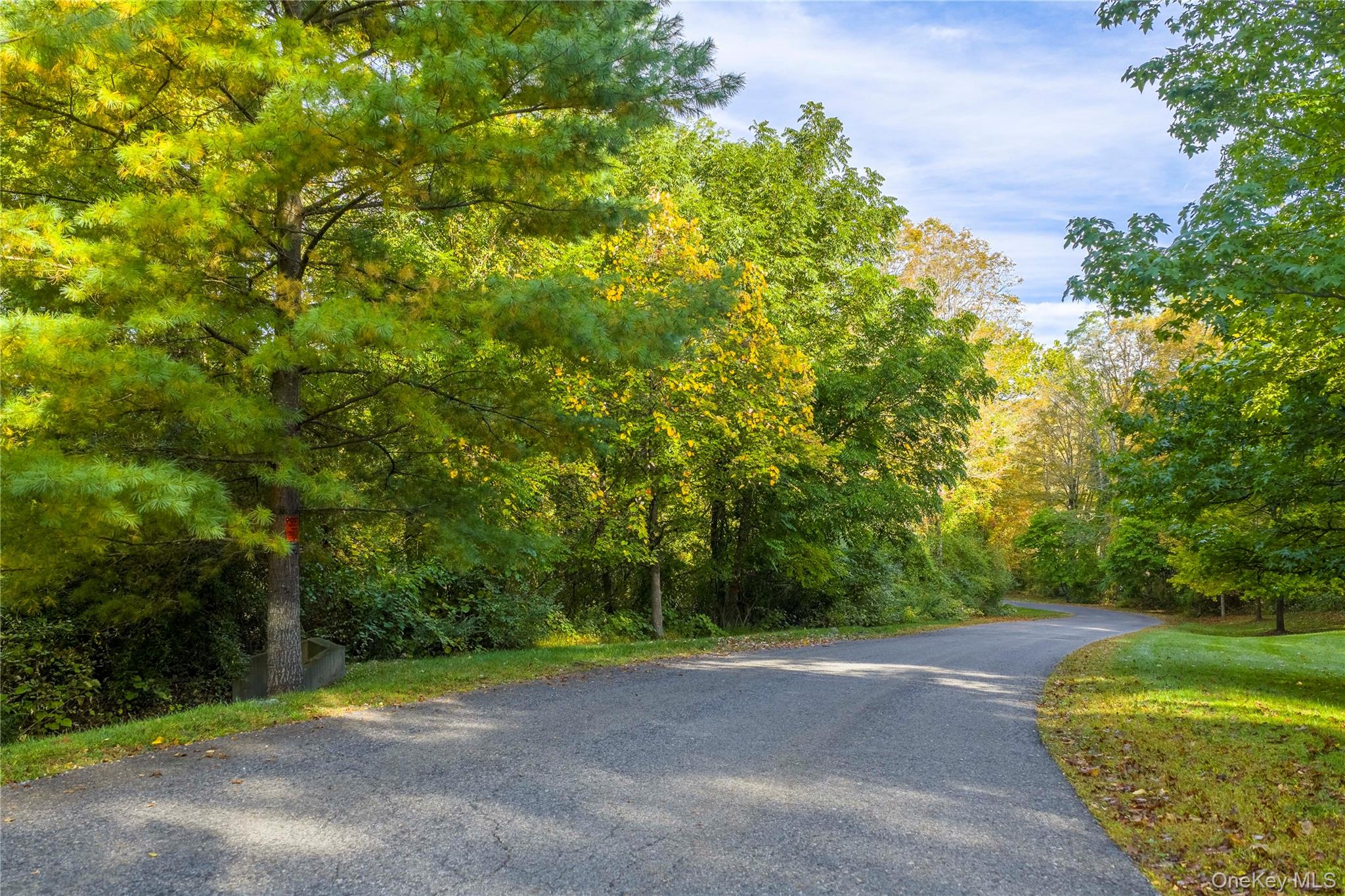 Lot 21 Cox Road Pawling, NY 12564 - Photo 3 of 8 View of asphalt street with a forest view