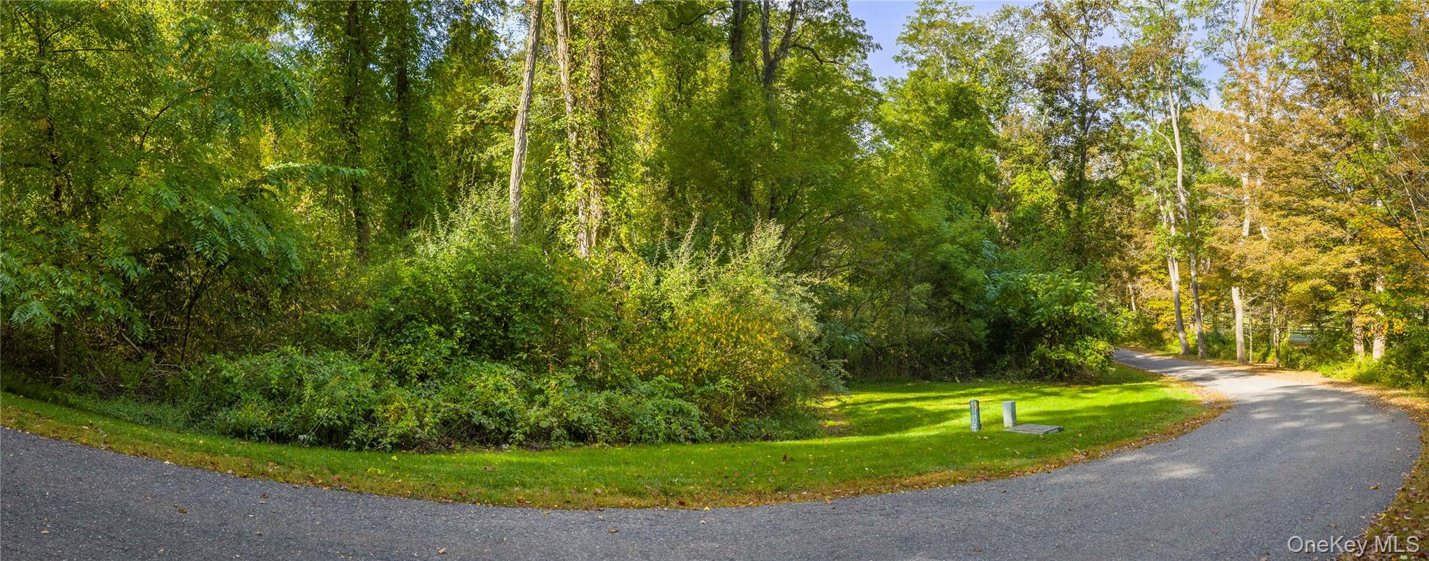 Lot 21 Cox Road Pawling, NY 12564 - Photo 6 of 8 View of street with a forest view
