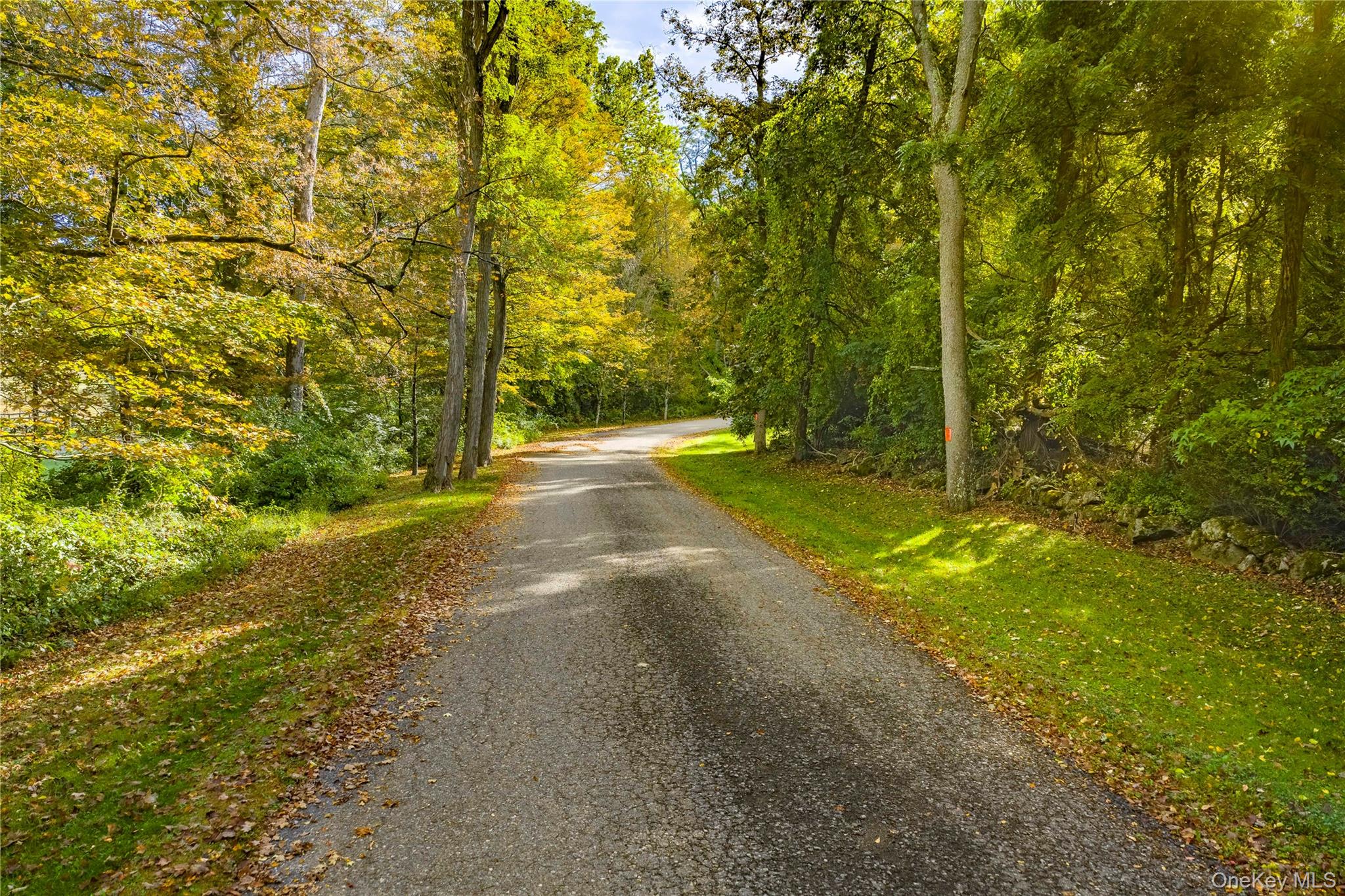 Lot 21 Cox Road Pawling, NY 12564 - Photo 7 of 8 View of street featuring a forest view